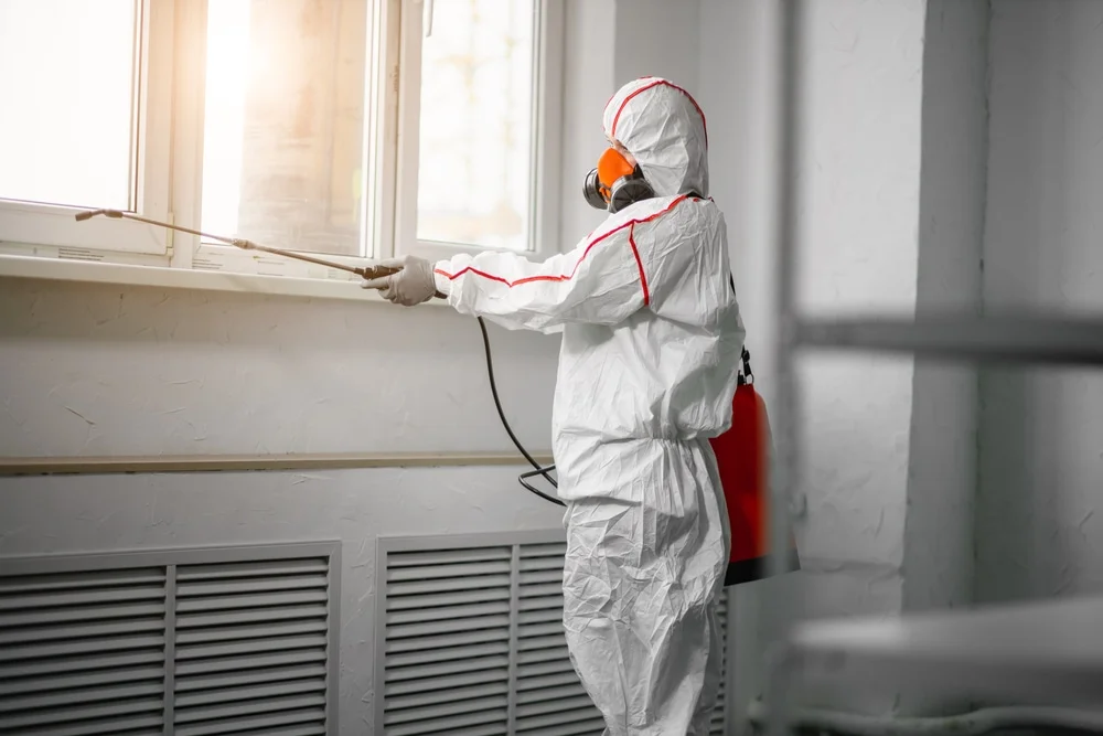 Professional mold remediation services in Tavares, FL